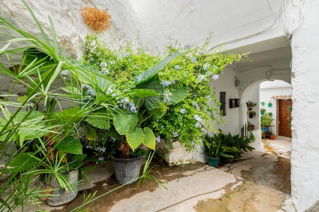 Preciosa casa independiente con increibles vistas Vejer de la Frontera Exterior foto